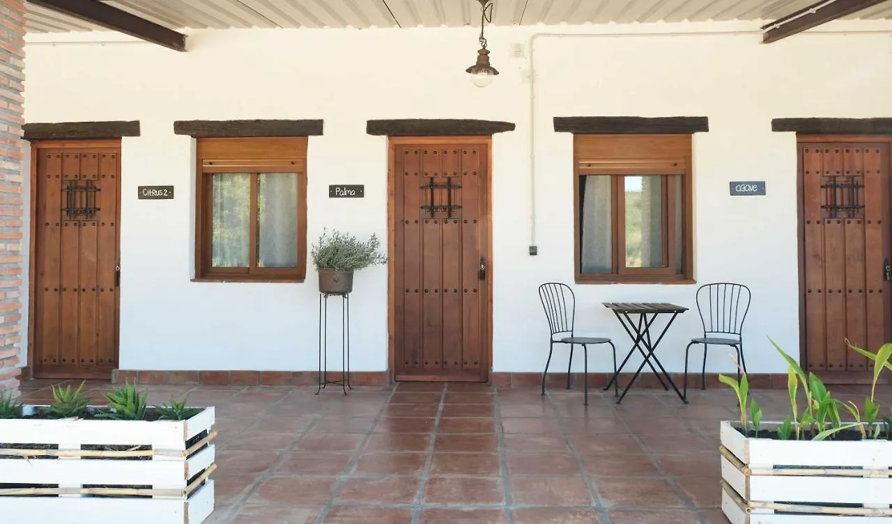 The Wild Olive Andalucía Agave Guestroom Casares 0*,