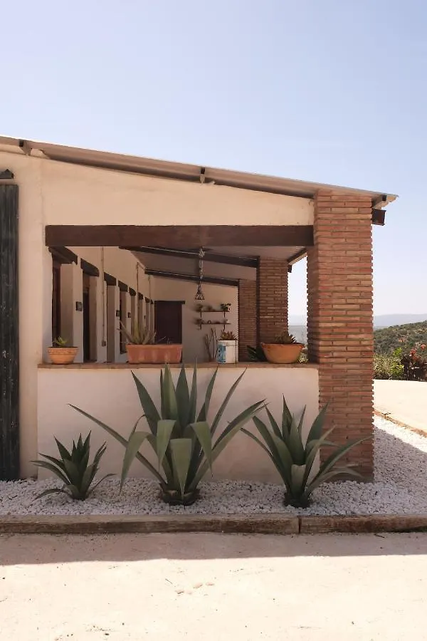 The Wild Olive Andalucía Agave Guestroom Casares